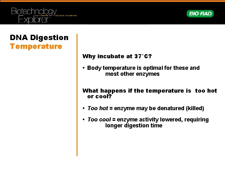 DNA Digestion Temperature Why incubate at 37°C? • Body temperature is optimal for these
