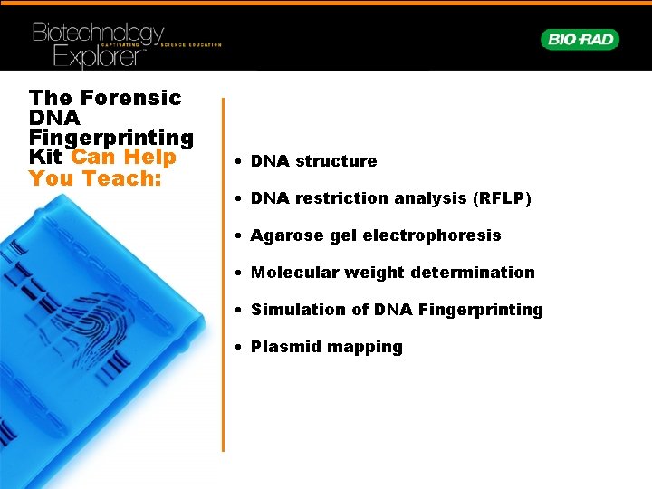 The Forensic DNA Fingerprinting Kit Can Help You Teach: • DNA structure • DNA