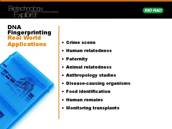 DNA Fingerprinting Real World Applications • Crime scene • Human relatedness • Paternity •
