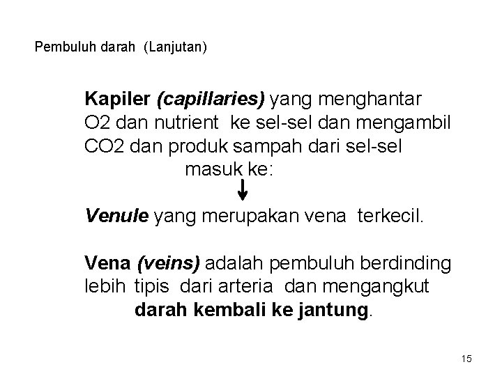 Pembuluh darah (Lanjutan) Kapiler (capillaries) yang menghantar O 2 dan nutrient ke sel-sel dan