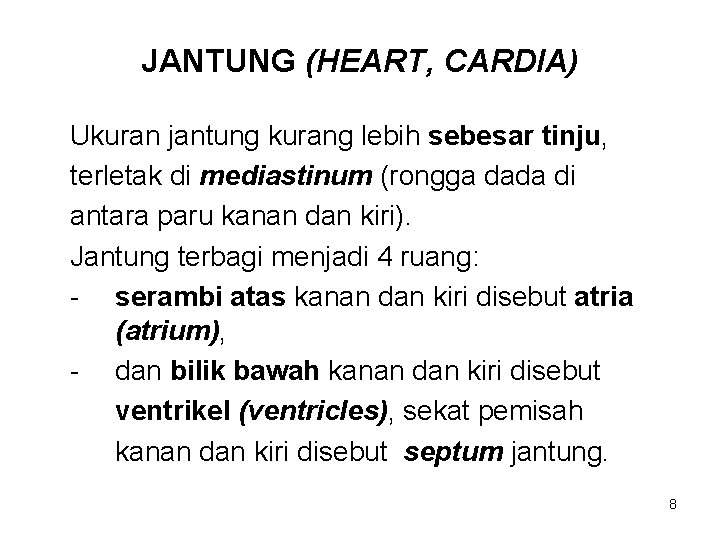 JANTUNG (HEART, CARDIA) Ukuran jantung kurang lebih sebesar tinju, terletak di mediastinum (rongga dada