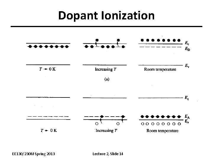 Dopant Ionization EE 130/230 M Spring 2013 Lecture 2, Slide 14 