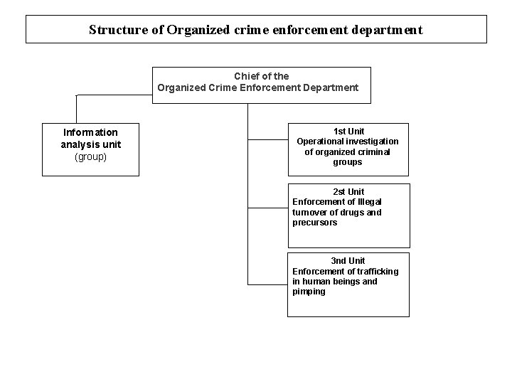 Structure of Organized crime enforcement department Chief of the Organized Crime Enforcement Department Information