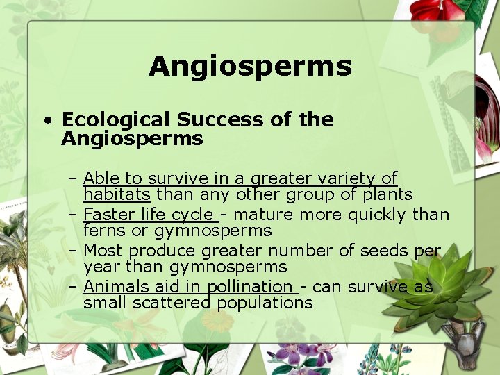 Angiosperms • Ecological Success of the Angiosperms – Able to survive in a greater