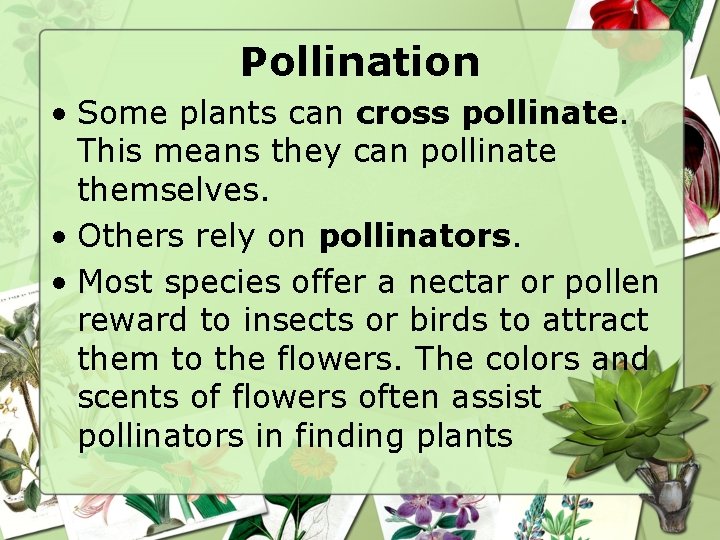 Pollination • Some plants can cross pollinate. This means they can pollinate themselves. •