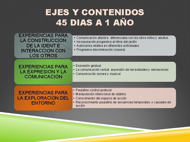 EJES Y CONTENIDOS 45 DIAS A 1 AÑO EXPERIENCIAS PARA LA CONSTRUCCION DE LA