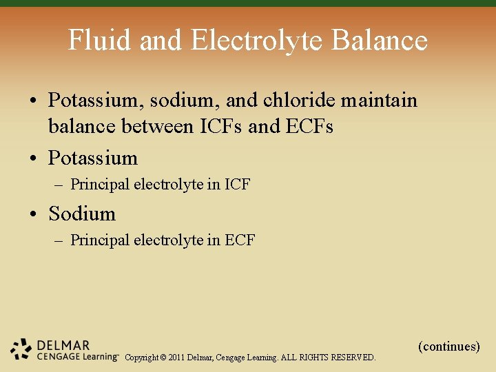 Fluid and Electrolyte Balance • Potassium, sodium, and chloride maintain balance between ICFs and