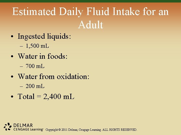 Estimated Daily Fluid Intake for an Adult • Ingested liquids: – 1, 500 m.