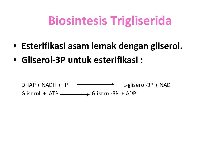 Biosintesis Trigliserida • Esterifikasi asam lemak dengan gliserol. • Gliserol-3 P untuk esterifikasi :