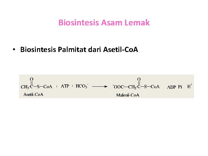 Biosintesis Asam Lemak • Biosintesis Palmitat dari Asetil-Co. A 