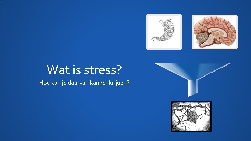 Wat is stress? Hoe kun je daarvan kanker krijgen? 