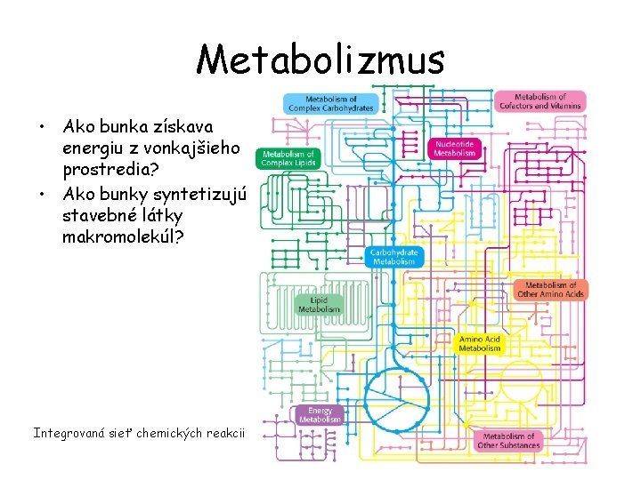 Metabolizmus • Ako bunka získava energiu z vonkajšieho prostredia? • Ako bunky syntetizujú stavebné