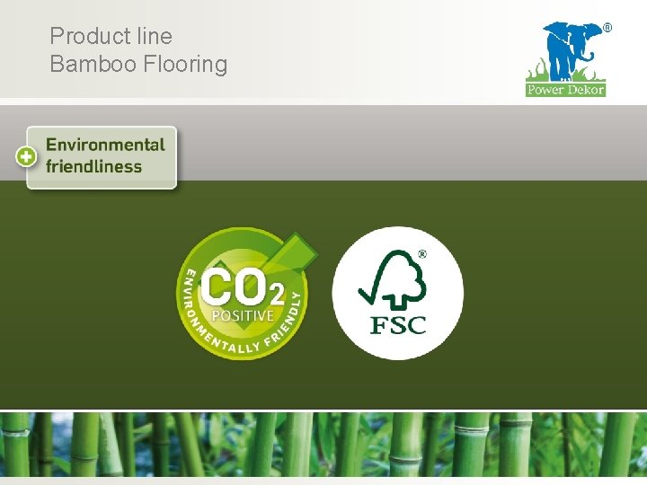 Product line Bamboo Flooring + Environmental friendliness 