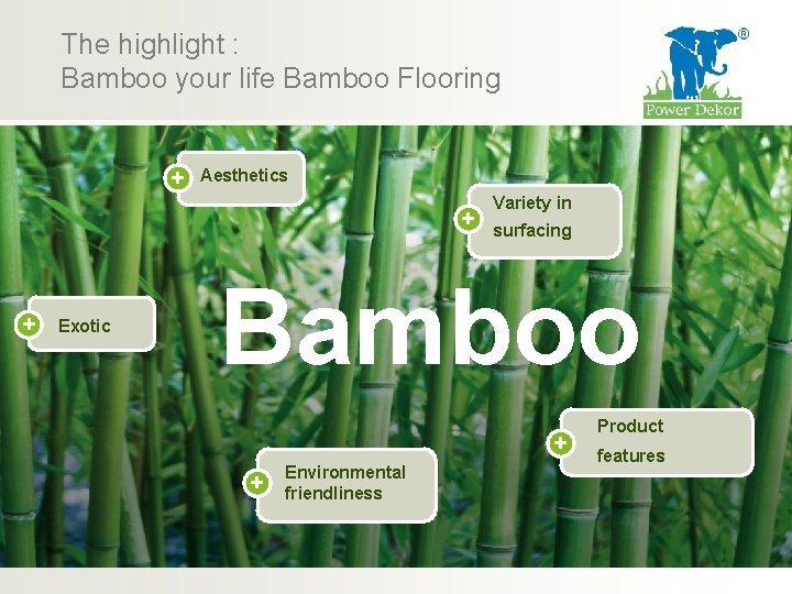 The highlight : Bamboo your life Bamboo Flooring + Aesthetics + + Exotic Variety