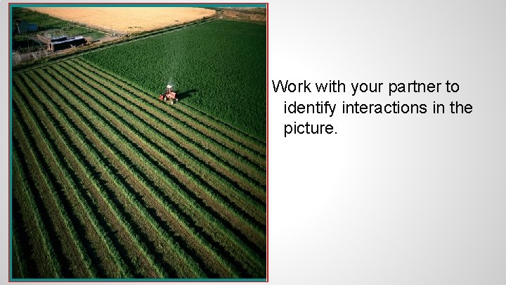 Work with your partner to identify interactions in the picture. 