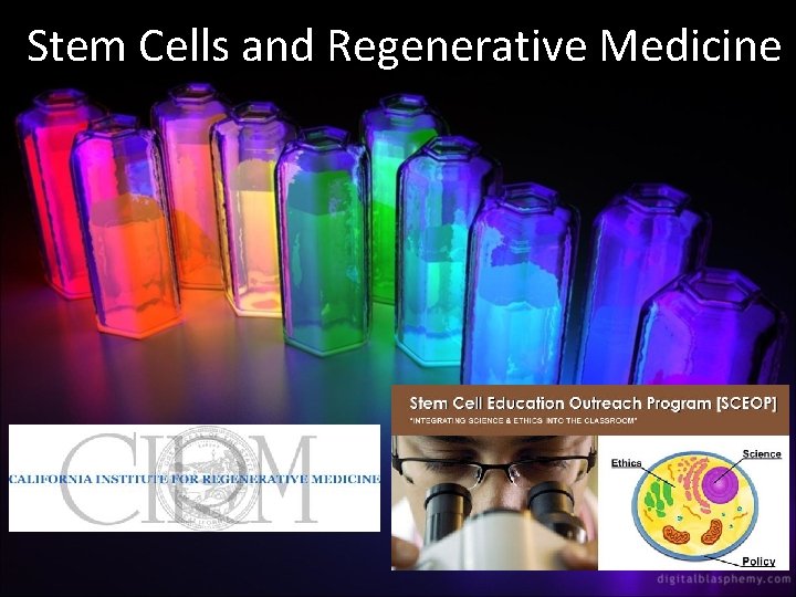 Stem Cells and Regenerative Medicine 