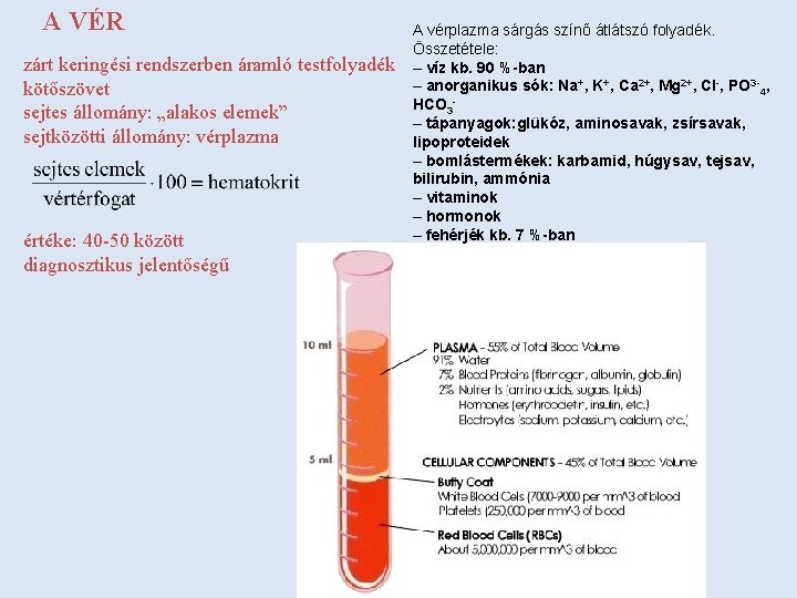 A VÉR zárt keringési rendszerben áramló testfolyadék kötőszövet sejtes állomány: „alakos elemek” sejtközötti állomány: