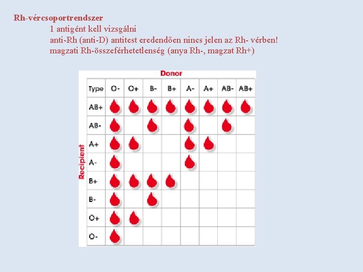 Rh-vércsoportrendszer 1 antigént kell vizsgálni anti-Rh (anti-D) antitest eredendően nincs jelen az Rh- vérben!
