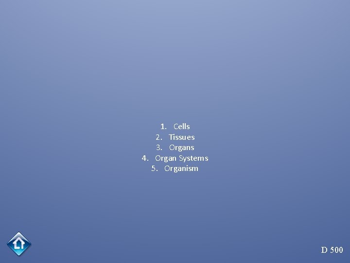 1. Cells 2. Tissues 3. Organs 4. Organ Systems 5. Organism D 500 