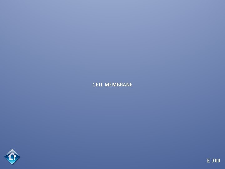 CELL MEMBRANE E 300 