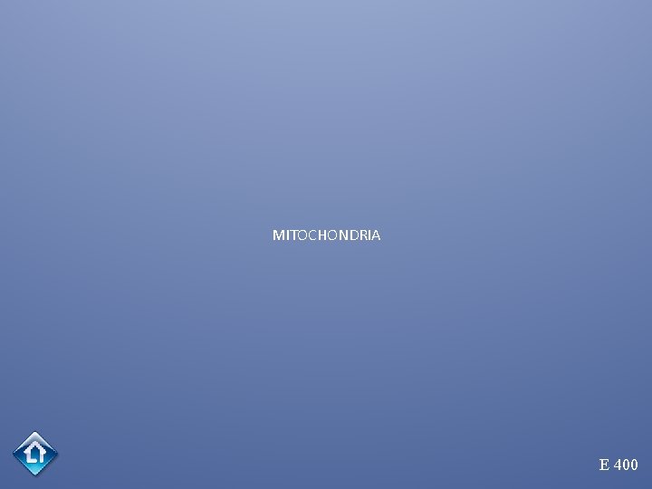 MITOCHONDRIA E 400 