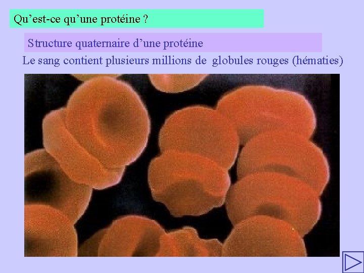 Qu’est-ce qu’une protéine ? Structure quaternaire d’une protéine Le sang contient plusieurs millions de