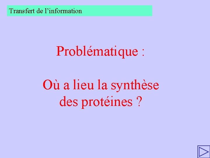 Transfert de l’information Problématique : Où a lieu la synthèse des protéines ? 