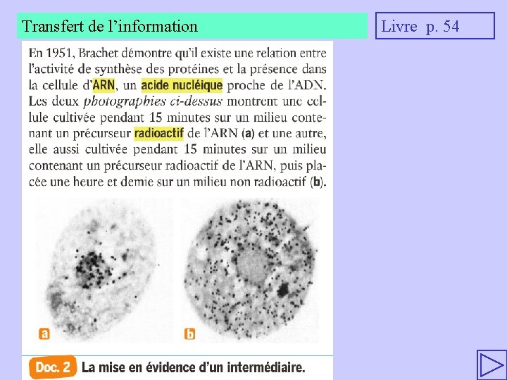 Transfert de l’information Livre p. 54 