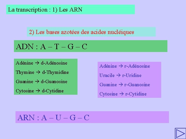 La transcription : 1) Les ARN 2) Les bases azotées des acides nucléiques ADN