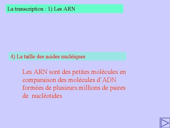 La transcription : 1) Les ARN 4) La taille des acides nucléiques Les ARN