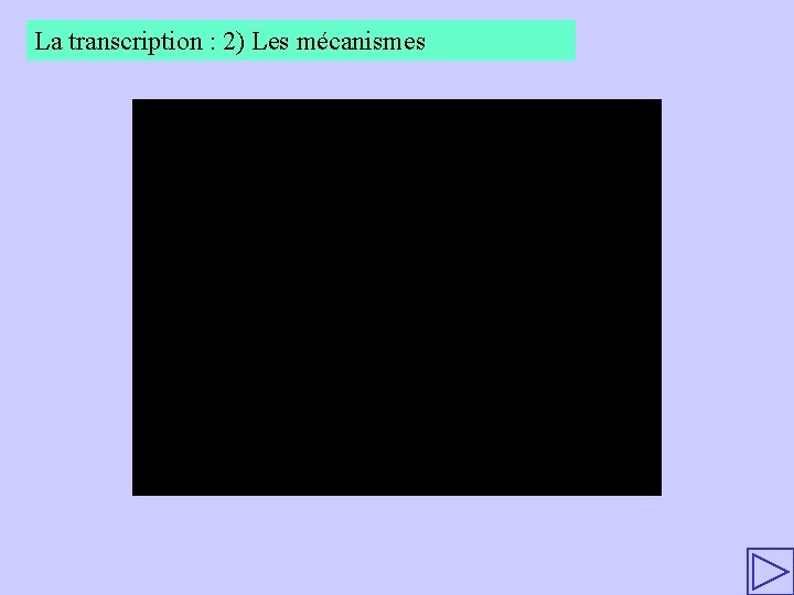 La transcription : 2) Les mécanismes 