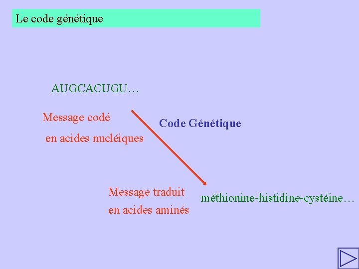 Le code génétique AUGCACUGU… Message codé en acides nucléiques Code : Génétique A=1 B=2