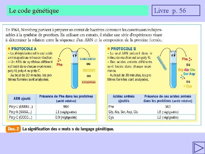 Le code génétique Livre p. 56 