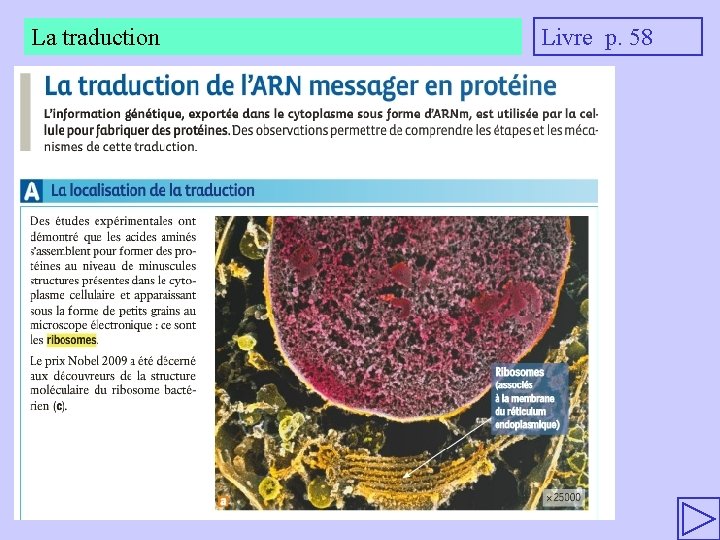 La traduction Livre p. 58 