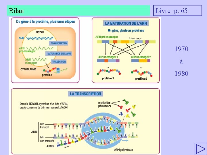 Bilan Livre p. 65 1970 à 1980 