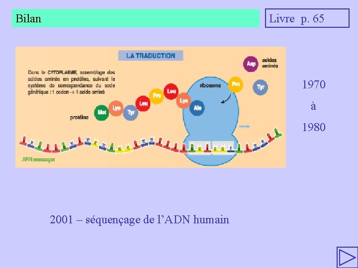 Bilan Livre p. 65 1970 à 1980 2001 – séquençage de l’ADN humain 