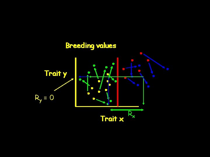 Breeding values Trait y Ry = 0 Trait x Rx 