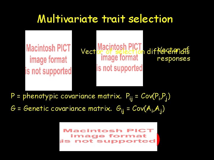 Multivariate trait selection Vector of selection differentials responses P = phenotypic covariance matrix. Pij