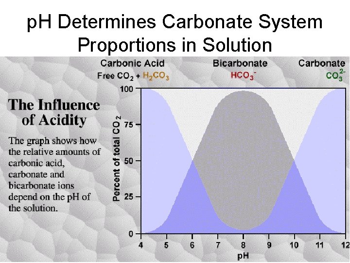 p. H Determines Carbonate System Proportions in Solution p. H Determines Carbonate System Proportions in Solution