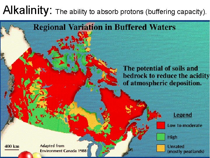 Alkalinity: The ability to absorb protons (buffering capacity). Alkalinity: The ability to absorb protons (buffering capacity).
