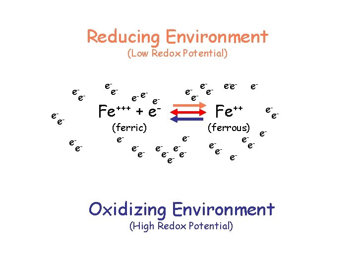 Reducing Environment (Low Redox Potential) e- e- e- e e- Fe+++ + e- e- Reducing Environment (Low Redox Potential) e- e- e- e e- Fe+++ + e- e-