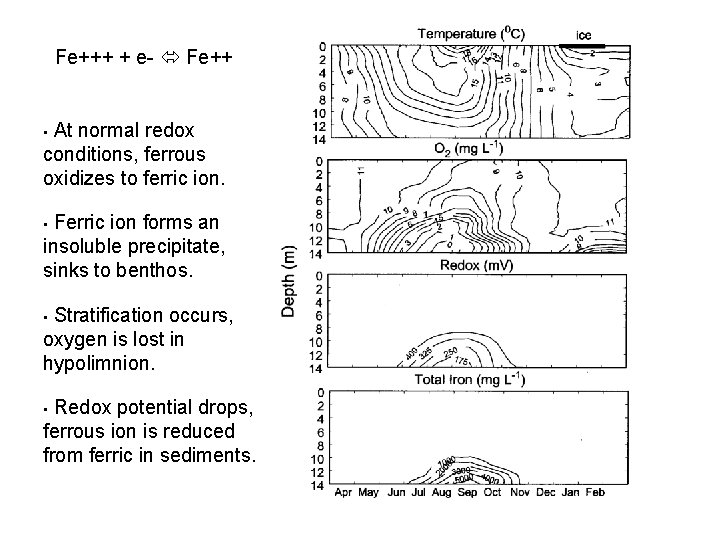 Fe+++ + e- Fe++ At normal redox conditions, ferrous oxidizes to ferric ion. • Fe+++ + e- Fe++ At normal redox conditions, ferrous oxidizes to ferric ion. •