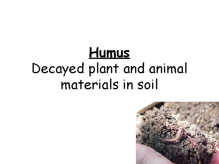 Humus Decayed plant and animal materials in soil 