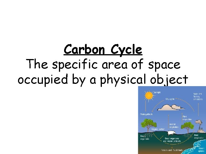 Carbon Cycle The specific area of space occupied by a physical object 