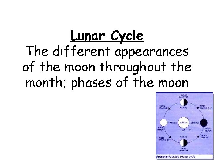 Lunar Cycle The different appearances of the moon throughout the month; phases of the