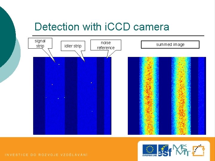 Detection with i. CCD camera signal strip idler strip noise reference summed image Detection with i. CCD camera signal strip idler strip noise reference summed image