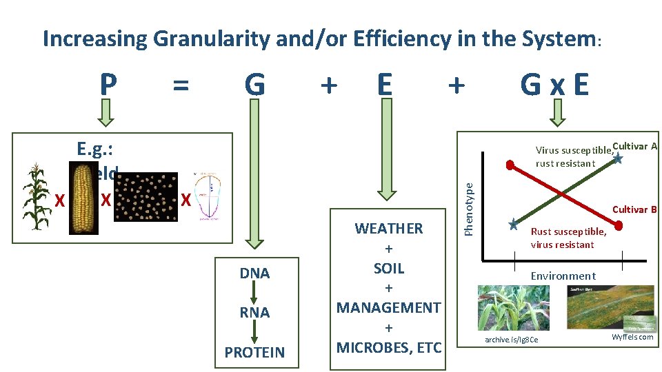Increasing Granularity and/or Efficiency in the System: = G + E E. g. :