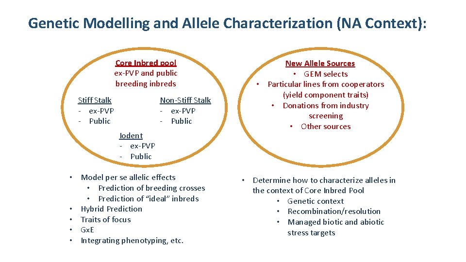 Genetic Modelling and Allele Characterization (NA Context): Core Inbred pool ex-PVP and public breeding