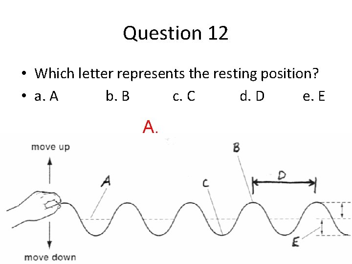 Question 12 • Which letter represents the resting position? • a. A b. B