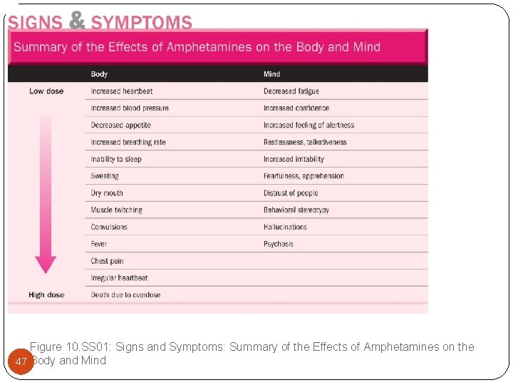 Figure 10. SS 01: Signs and Symptoms: Summary of the Effects of Amphetamines on